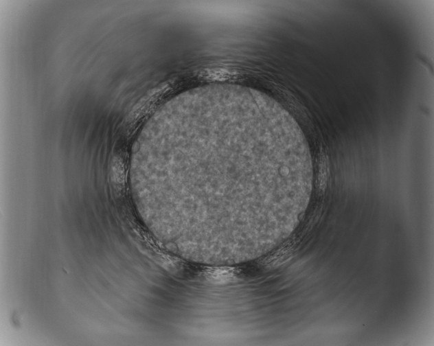 X0000103950569200810311552