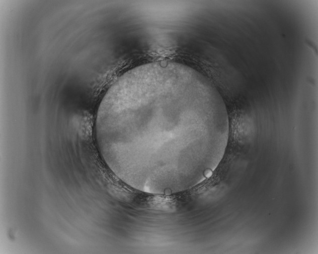 X0000103950570200810311552