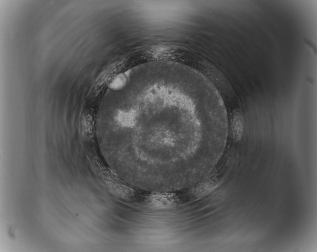 X0000103950571200810311552