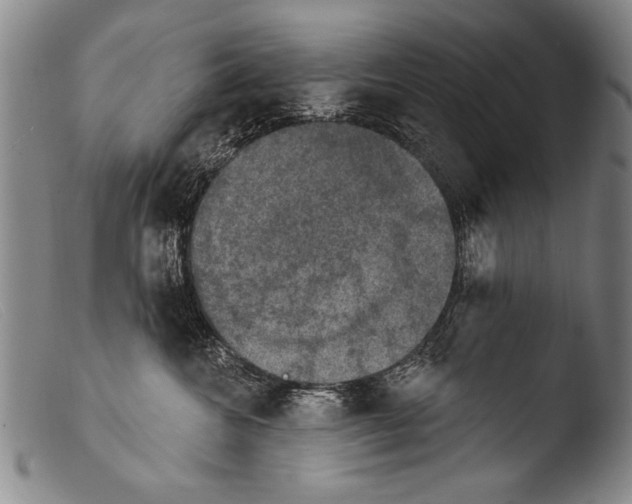 X0000103950572200810311552
