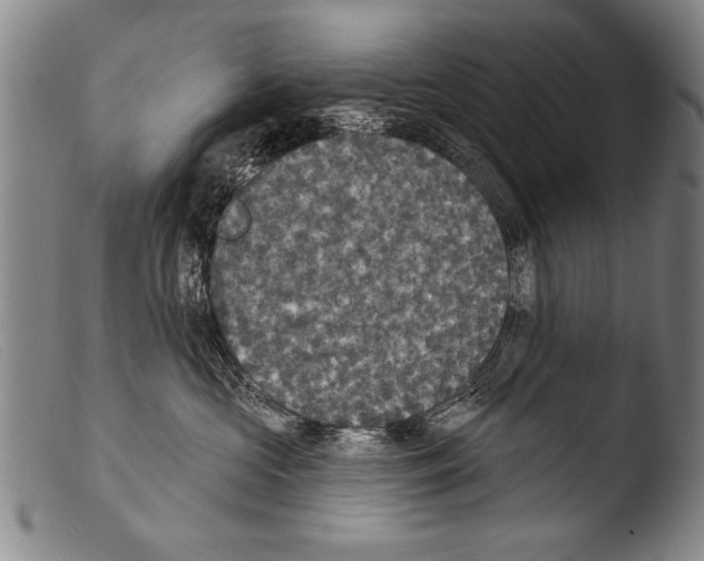 X0000103950573200810311552