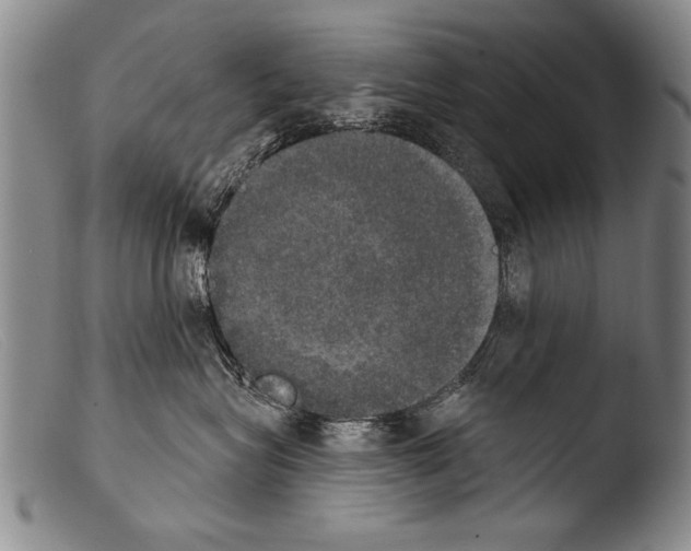 X0000103950575200810311552