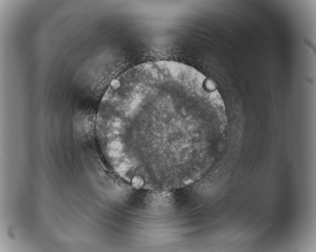 X0000103950576200810311552