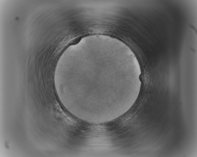 X0000103950577200810311551