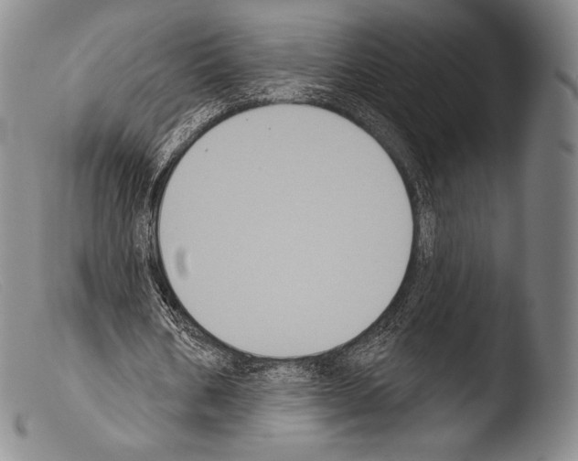 X0000103950578200810311551