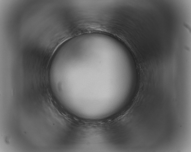 X0000103950579200810311551