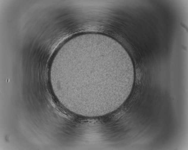 X0000103950580200810311551