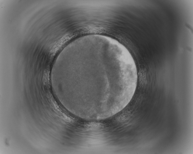X0000103950581200810311551