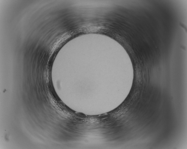 X0000103950582200810311551