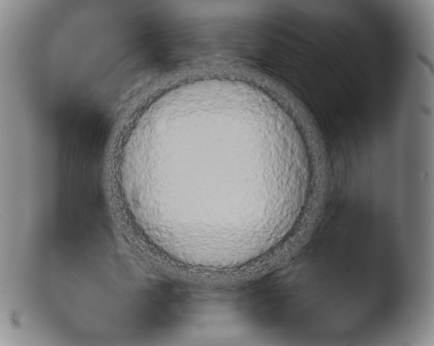 X0000103950583200810311551