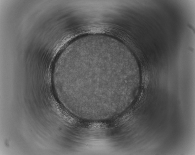 X0000103950584200810311551