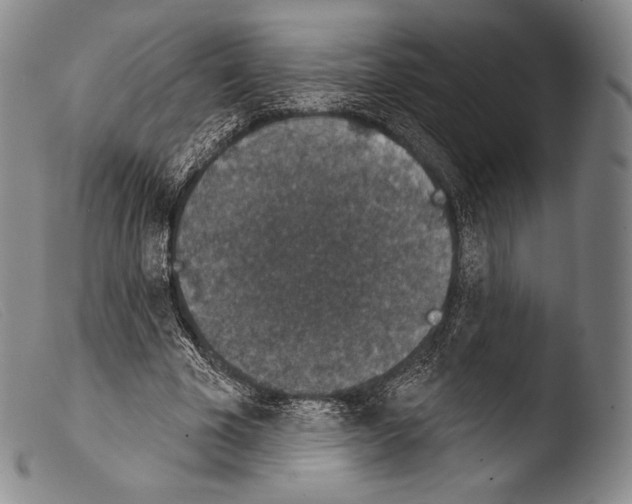 X0000103950585200810311551