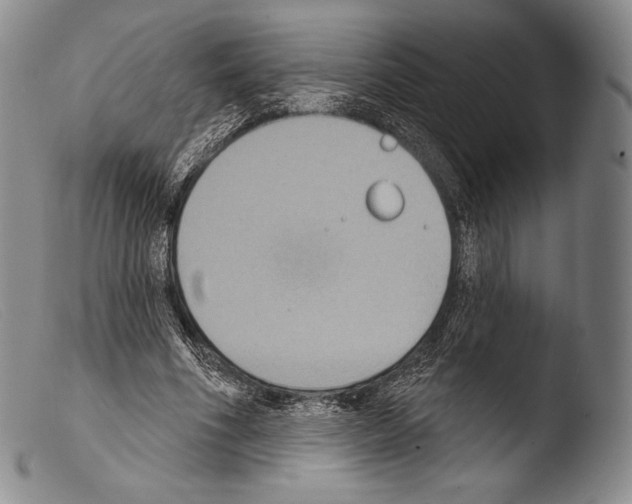 X0000103950586200810311551