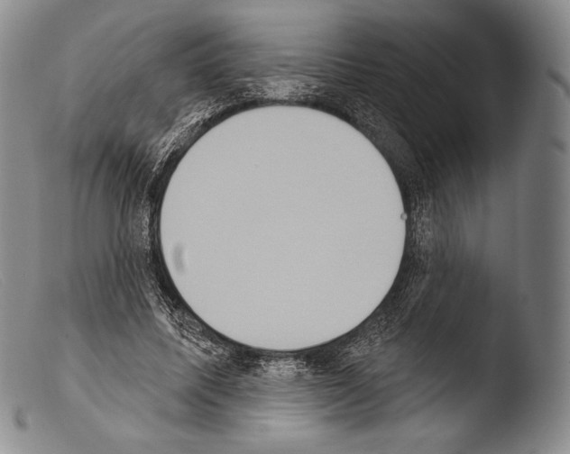 X0000103950587200810311551