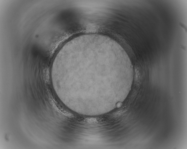 X0000103950588200810311551