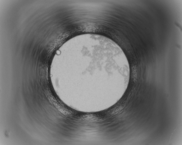 X0000103950589200810311551