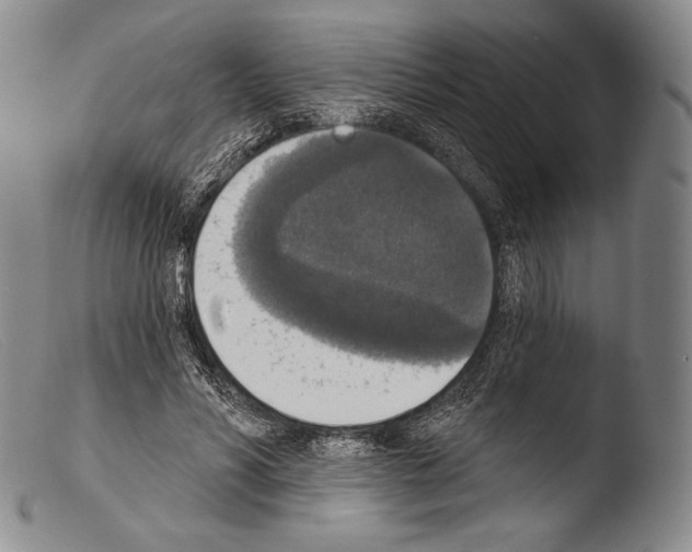 X0000103950590200810311551