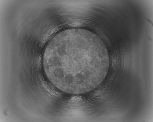 X0000103950591200810311551