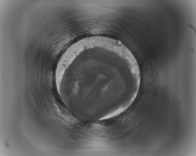 X0000103950592200810311551