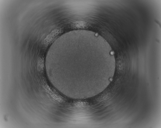 X0000103950593200810311551