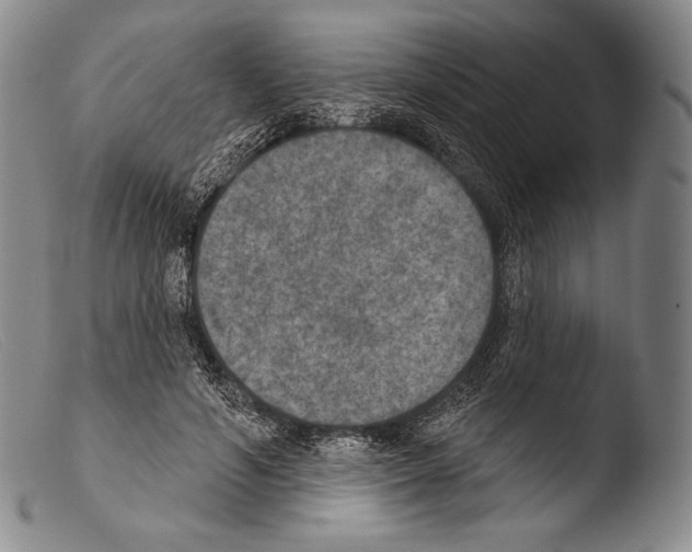 X0000103950594200810311551