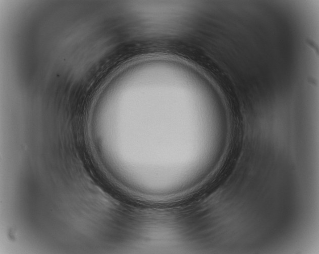 X0000103950595200810311551