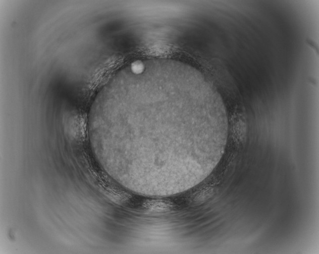 X0000103950597200810311551