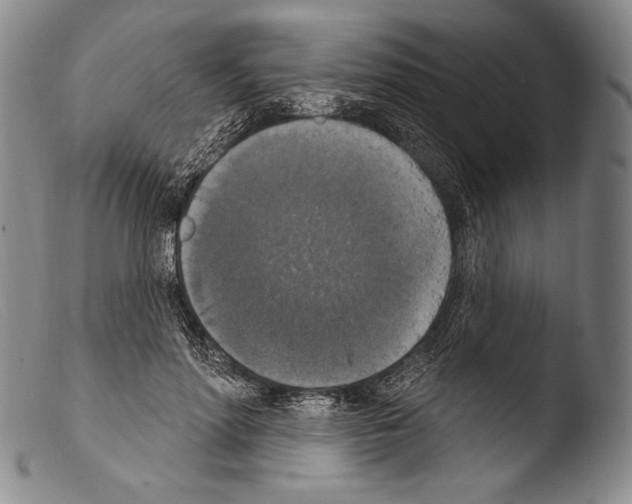 X0000103950598200810311551