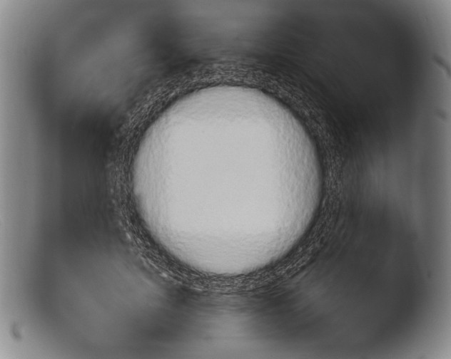 X0000103950599200810311551
