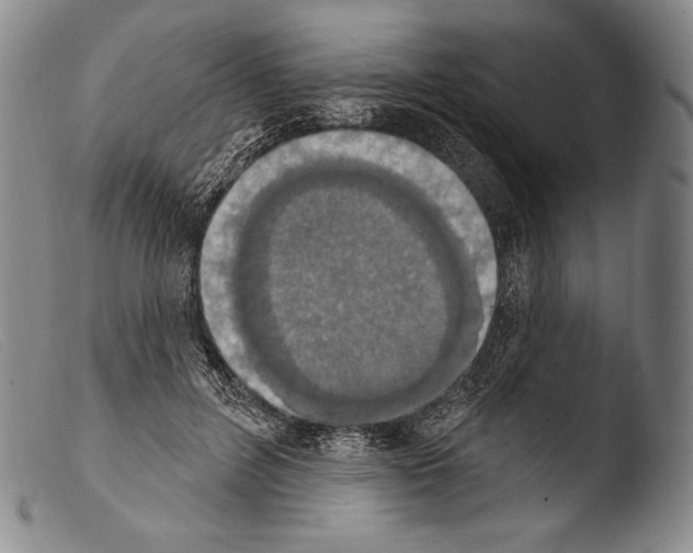 X0000103950600200810311551