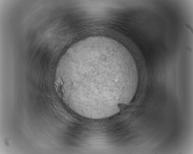 X0000103950601200810311551