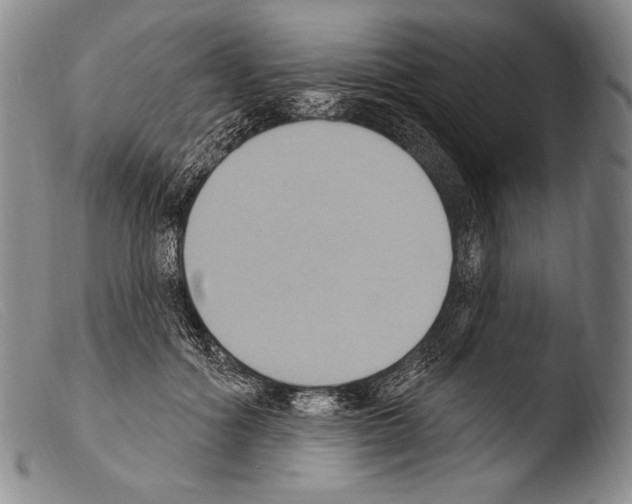 X0000103950602200810311551