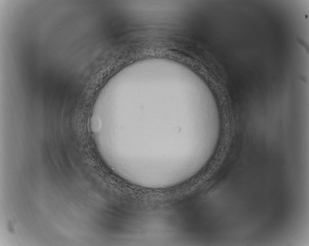 X0000103950603200810311551