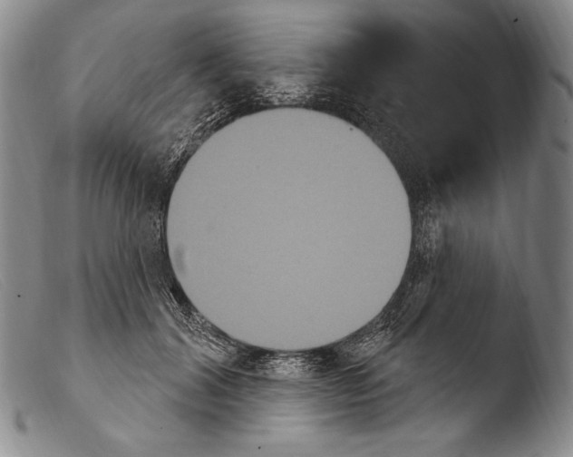 X0000103950604200810311551