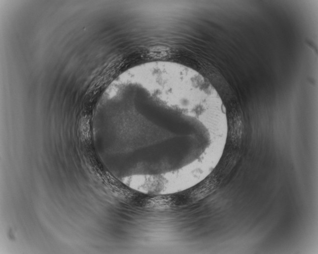 X0000103950606200810311551