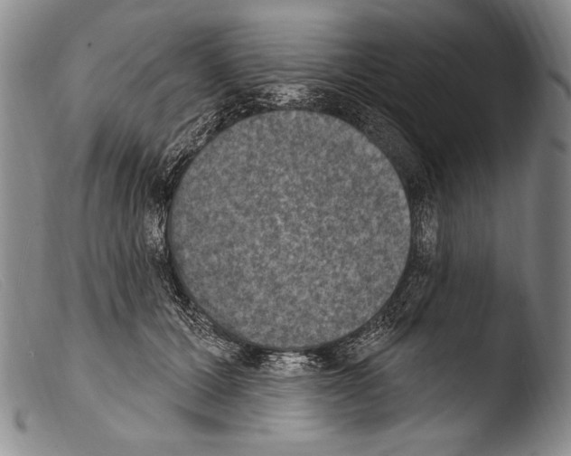 X0000103950607200810311551