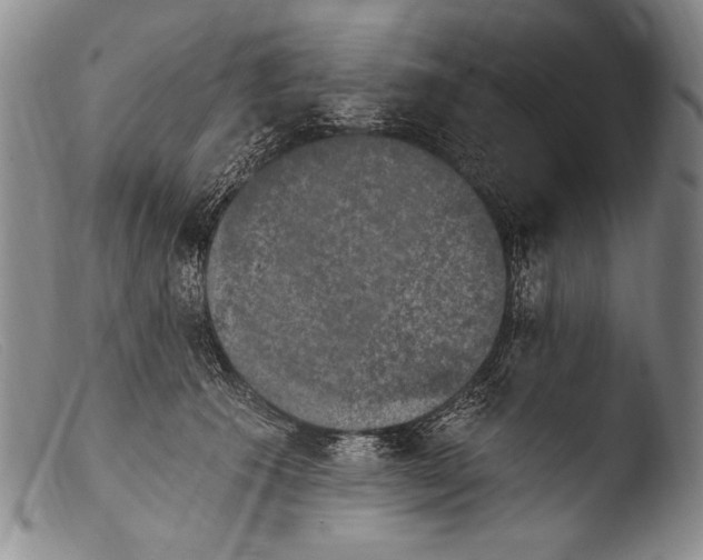 X0000103950609200810311551