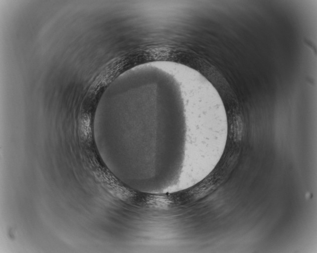 X0000103950610200810311551
