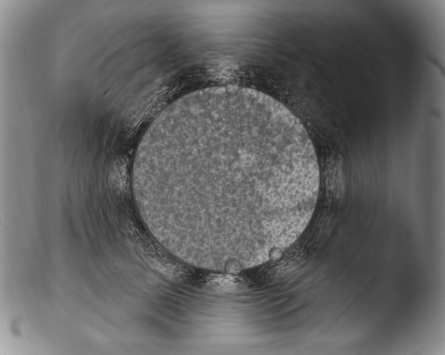X0000103950611200810311551