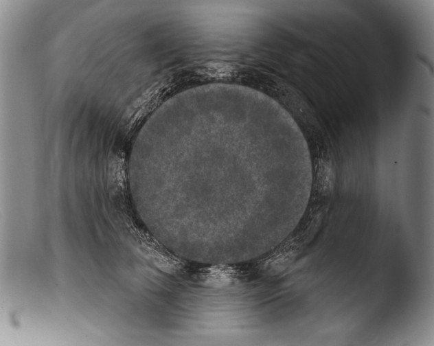 X0000103950612200810311551
