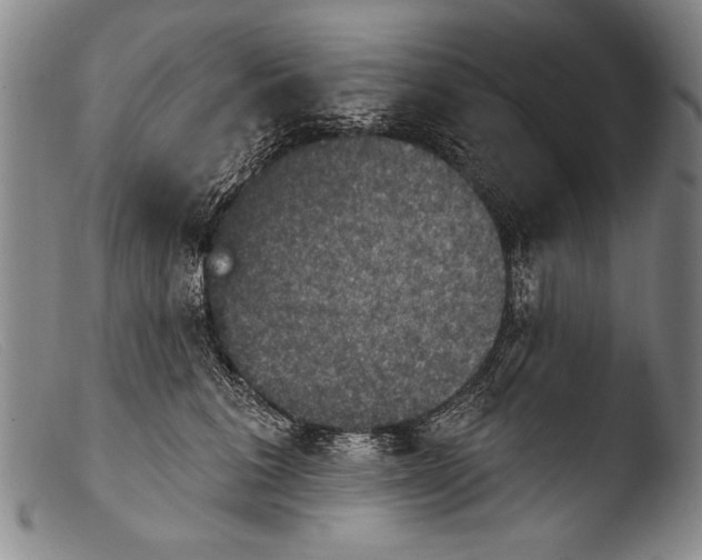 X0000103950613200810311551