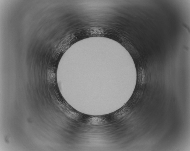 X0000103950614200810311551