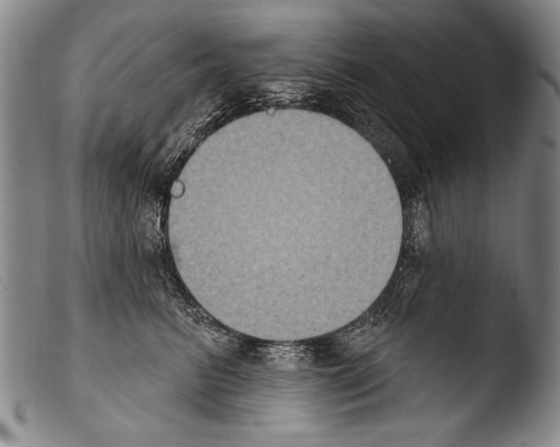 X0000103950615200810311551