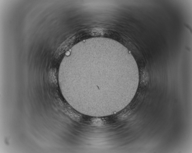 X0000103950616200810311551
