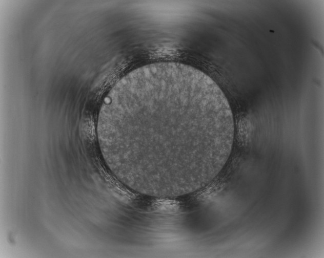 X0000103950617200810311551
