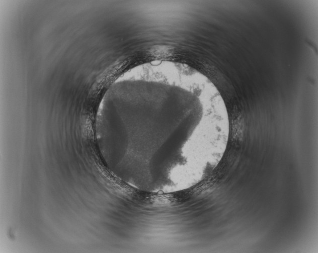 X0000103950618200810311551
