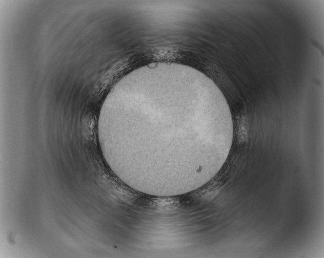 X0000103950619200810311551