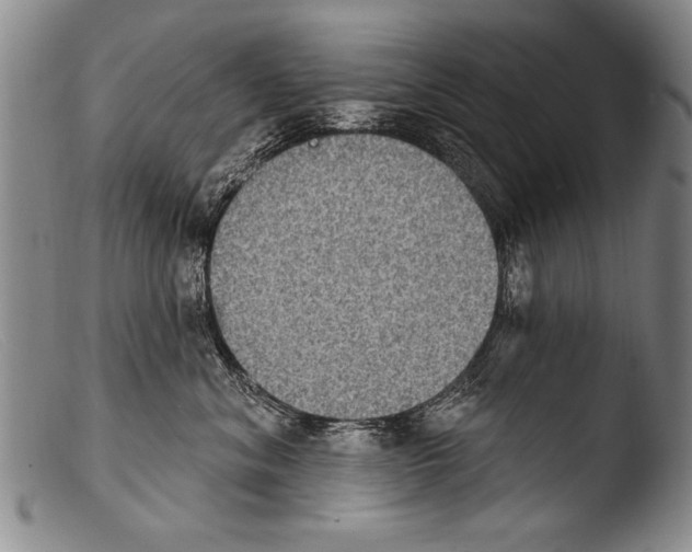 X0000103950620200810311551