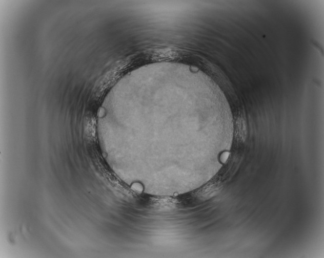 X0000103950621200810311551