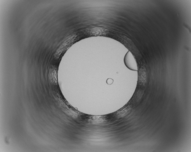 X0000103950622200810311551